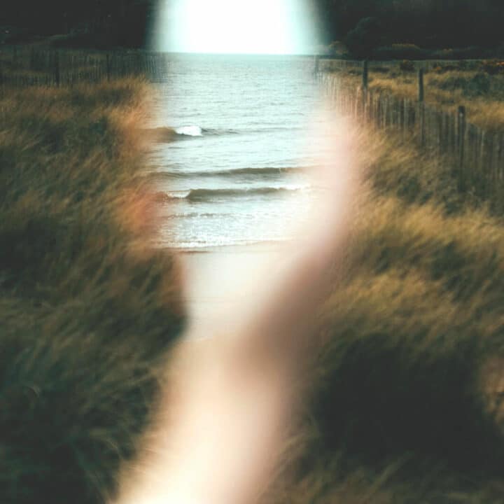 Otsa-ohimolohkorappeuma, otsalohkodementia